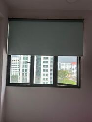 Chestervale (D23), Condominium #593051061